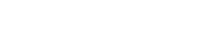 New Economic City